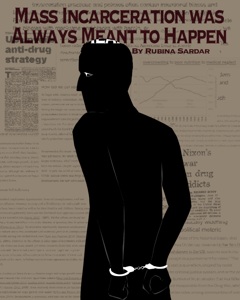 Mass Incarceration Was Always Meant to Happen