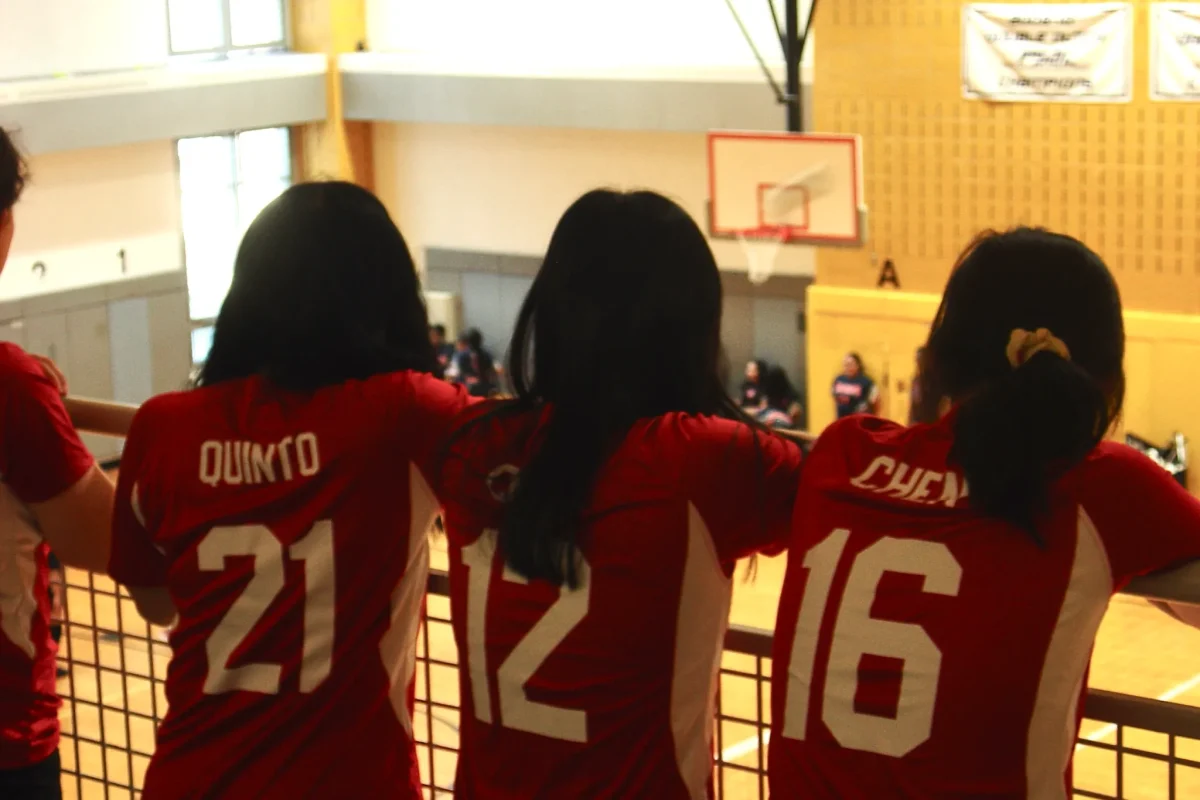 QHSS Lady Cardinals Take Flight!